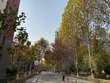 房主诚心出售,房屋户型较好,设施齐全,配套齐全