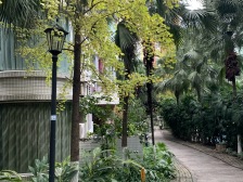 石桥铺 华宇名都城一房30万