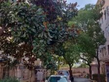 南大路126弄小区2室东南朝向187.00万元/套出售