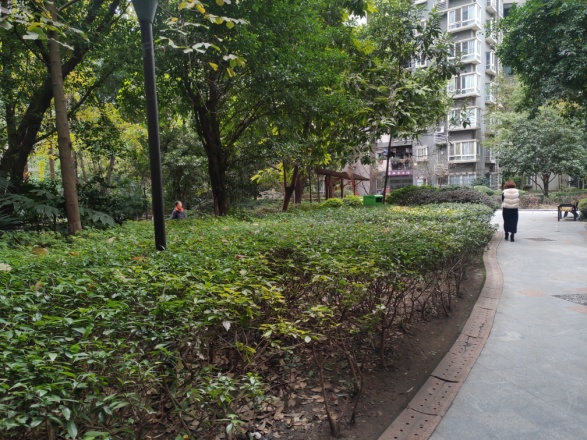 大川花园