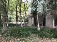 几年不出一套大唐盛世花园二期一梯一户五房大平层