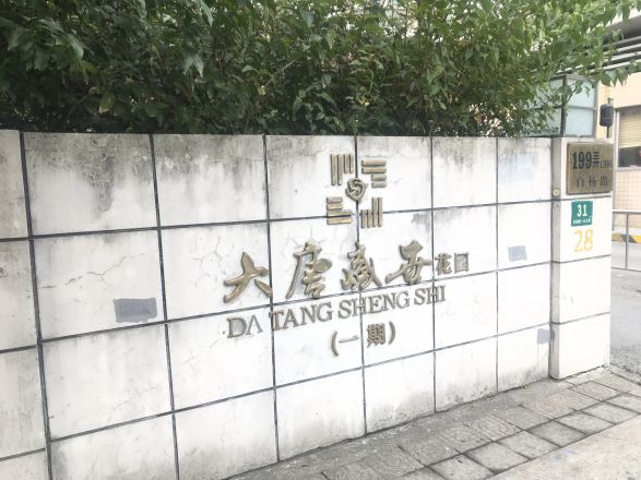 大唐盛世花园实景图