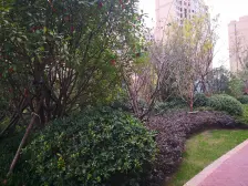 精装带车位+人车分流高品质+满五税少业主诚心