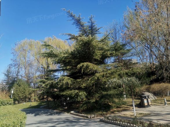 博雅西园实景图