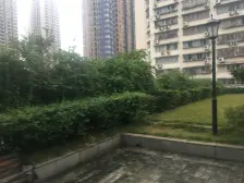 金岛花园低密度小区,步梯三房,低楼层。