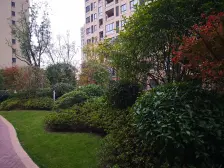 高品质+国企开发+人车分流+环境优美+高区采光佳