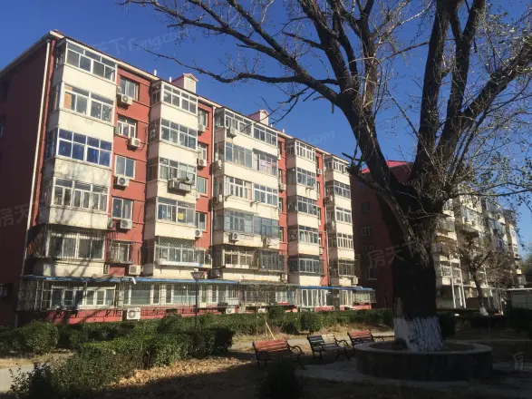 三角地第一区实景图