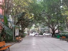 怡丰新城2室2厅南