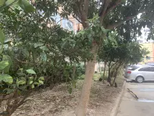 无抵押,产权清晰 采光好,必看好房