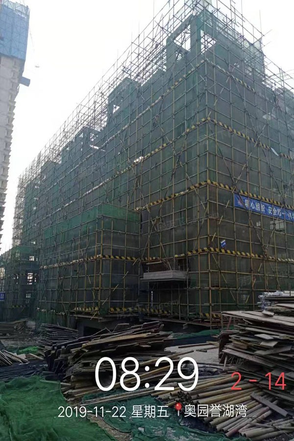 奥园誉湖湾实景图