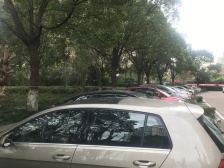 花木·四季全景台·4室·1厅