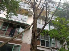 怡丰新城2室2厅西