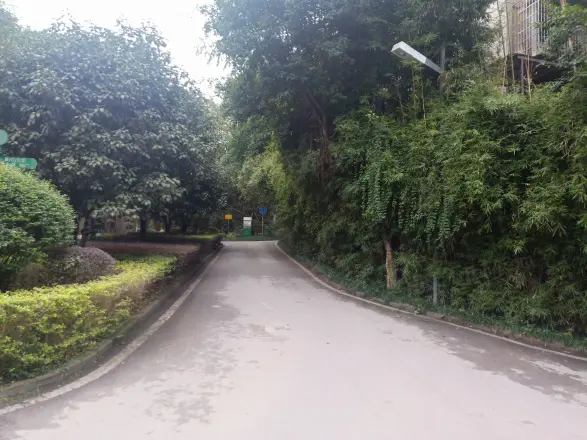 江南小区实景图