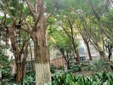 怡丰新城4室2厅西南西