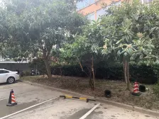 20弄新上2房朝南,好楼层,好位置,诚意出售!