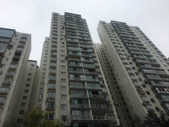 智慧龙城实景图