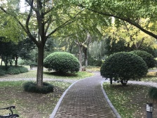 近地铁,拎包入住 精装,电梯房,新上房源