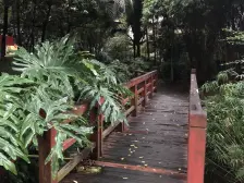 大坪 嘉华鑫城一房85万