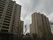 远洋万和四季 3室2厅 南