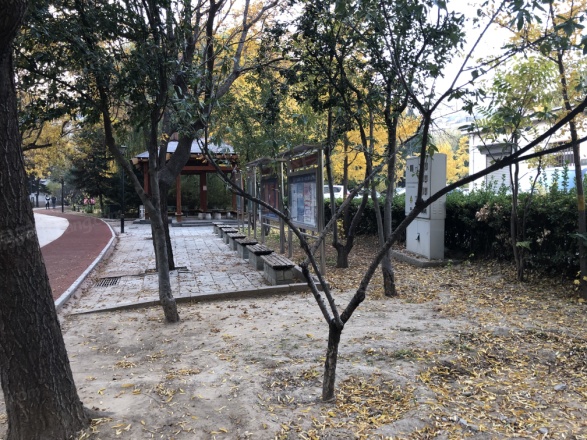 龙泽苑西区实景图
