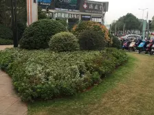 CBD地彪写字楼交通路网密集商务氛围浓厚办公头知双优