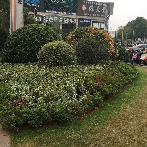  ���̲���㳡3��1��1���ϳ���4800.00Ԫ/�³��� 