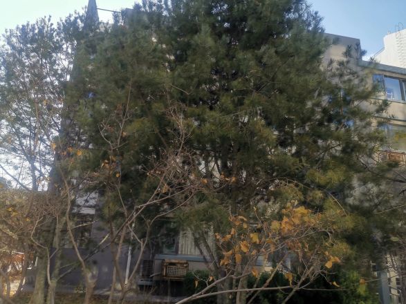 博雅西园实景图