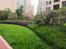 国企开发 M5V1 人车分流 视野开阔 精装三房