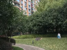 近地铁 精装 中间楼层,电梯房,必看好房