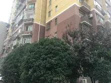 联农大厦 2室1厅 西北 西