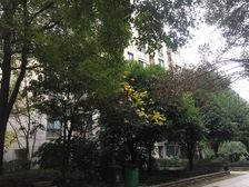 星城世家4室2厅北南