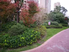 次新商品房小区,景观楼层,业主诚意出售