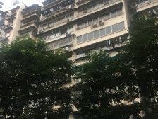 4/6花卉园轻轨站 侘寂风+原木绿植,全新装修拎包入住