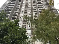 祺山品阁 1室1厅 南