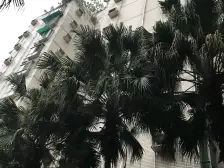 观音桥 邦兴渝珠花苑三房