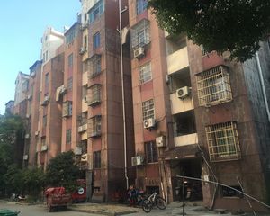京东小区E区 南北通透,采光好 视野好,诚心出售