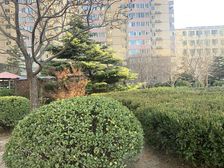 富华家园1室0厅北