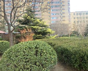 富华家园1室0厅北