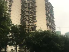 新上房源 金岛花园 全新精装 小三房 急售