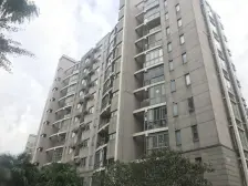 新上双南两房,楼层好,位置好,满五v一,出国移民