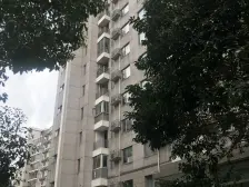 小区西南角,去龙阳路地铁站,麦德龙,建西更方便