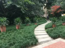 加州新牌坊 伟清泊客二房