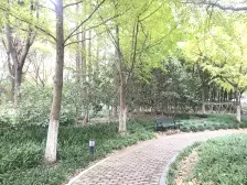 花木·大唐盛世花园二期·3室·2厅