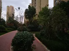 人车分流+品质小区+高楼层+诚意出售