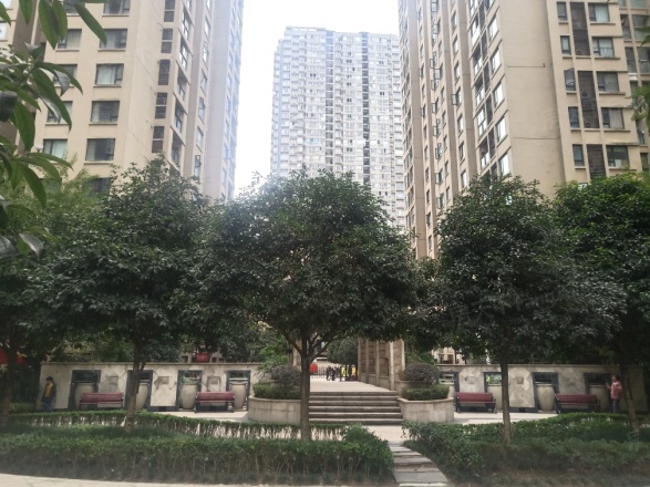 康德国际实景图