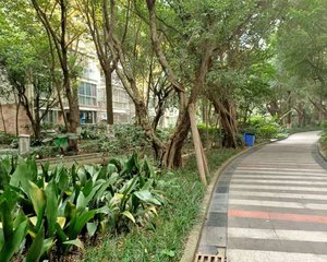 怡丰新城 4室2厅 北