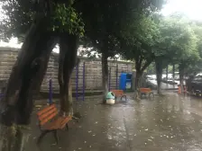 龙溪镇 金岛花园一房50万