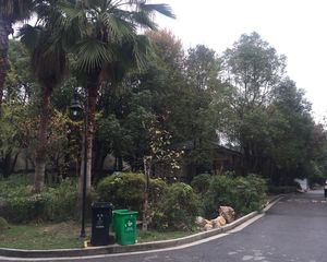 市区联排别墅,三层带露台,精装四房