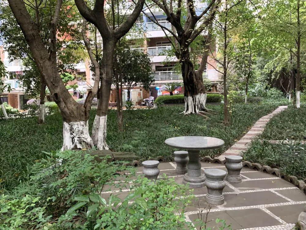 实景图