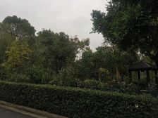 水云间联排边户别墅,带私家花园,近地铁口,采光好